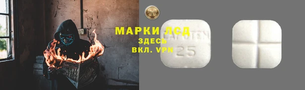 прущий лед Абаза