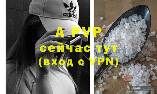 прущий лед Абаза
